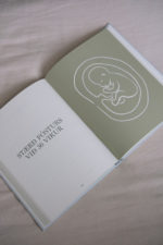 Frá bumbu til fæðingar - Image 2